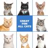 imageWahl USA Cat Waterless Shampoo for Soothing Damaged Skin Refreshing Cleaning and Removing Odors Between Baths  71 Oz  Model 820015500Coconut
