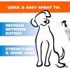 imageWahl USA Cornflower Aloe Pet Deodorant Spray for All Dogs ampamp Cats  Clean Fresh Smell Refreshes ampamp Deodorizes  8 oz  Model 820009A