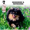 imageWahl USA Cornflower Aloe Pet Deodorant Spray for All Dogs ampamp Cats  Clean Fresh Smell Refreshes ampamp Deodorizes  8 oz  Model 820009A