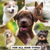 imageWahl USA Flea ampamp Tick Repelling Dog Shampoo  Defense Formula with Rosemary ampamp Cedar  24 Oz  820007APuppy