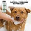 imageWahl USA Odor Control Shampoo for Dogs ampamp Pets  Eucalyptus ampamp Spearmint Animal Deodorizer for Cleaning ampamp Freshening  24 Oz  Model 820003A
