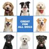 imageWahl USA Pet Friendly Waterless No Rinse Shampoo for Animals  Lavender ampamp Chamomile for Cleaning Conditioning Detangling ampamp Moisturizing Dogs ampamp Cats  71 Oz  Model 820014A