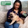 imageWahl USA Scent Free Pet Odor Neutralizer Spray for Dogs Skin and Coat Perfect for Between Baths  8 oz  Model 820012