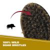 imageWahl Small Travel Beard Brush with 100 Boar Bristles with Firm Natural Hair for Grooming ampamp Styling  Wood Handle for Beards Mustaches Skin ampamp Hair Care  Model 3346Blue